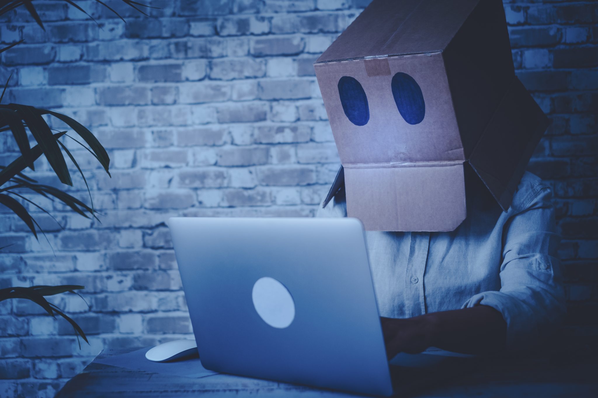 9 cybersecurity myths highlighted by a hacker with a cardboard box on his head, looking at a laptop in a blue grey picture